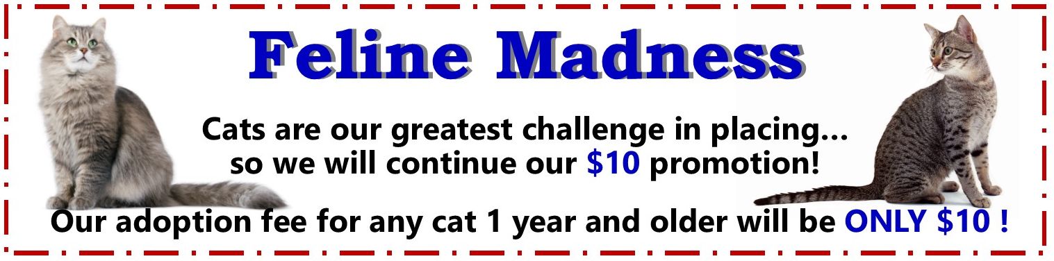 Save Ohio Strays