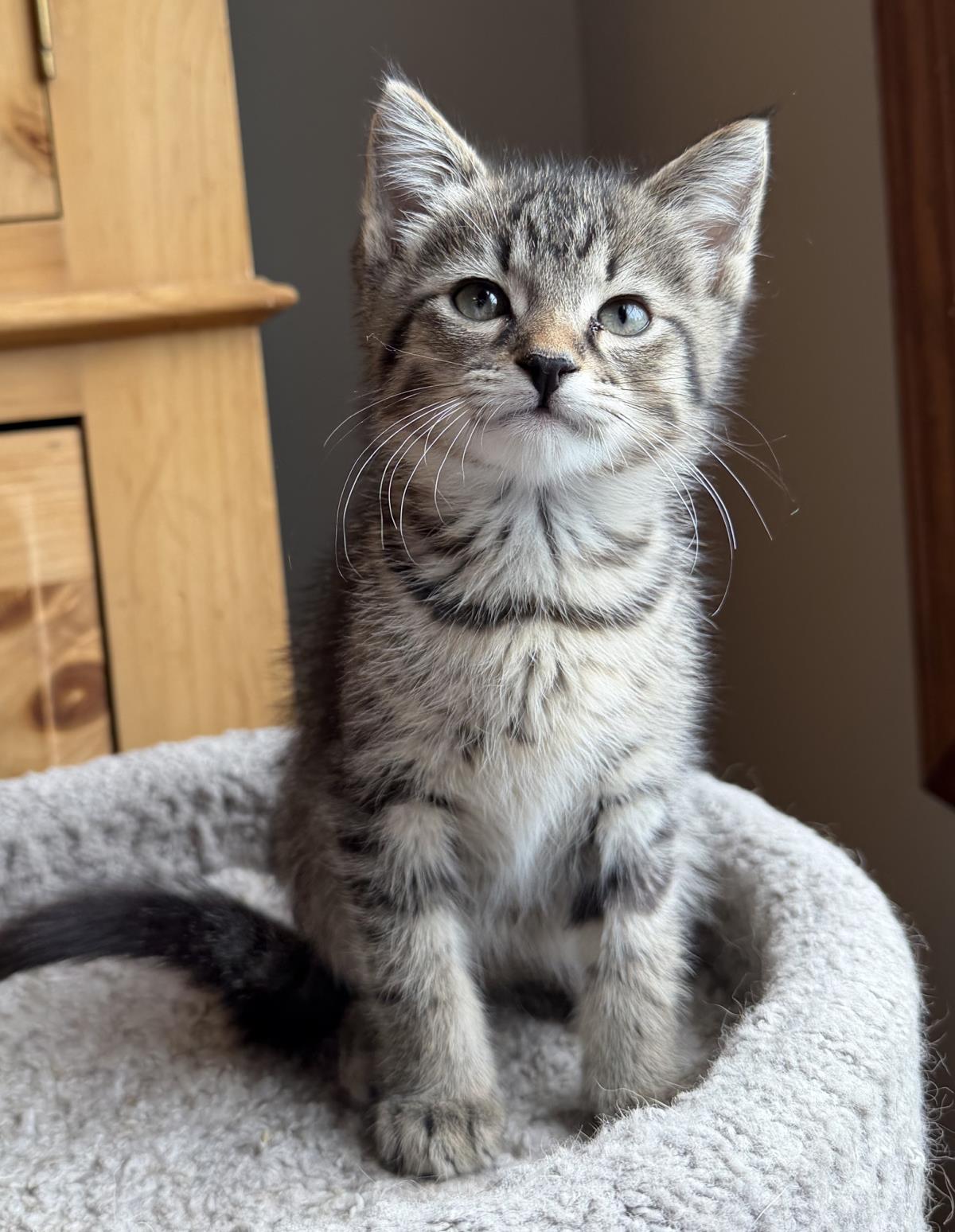 Leo